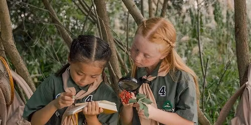 Girl Scout Festival of Trees