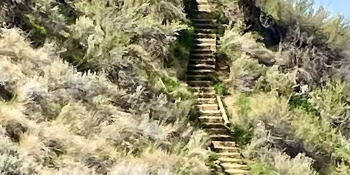 Wonder Hikers April Hike