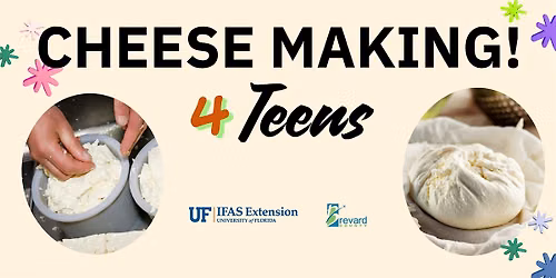 Cheese Making for Teens