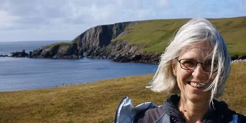 Breed Study: Shetland