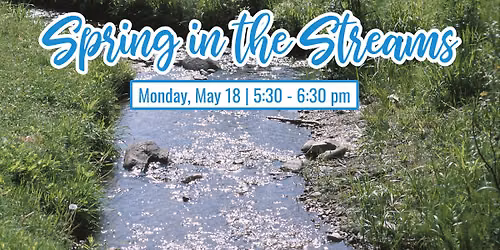 Spring in the Streams