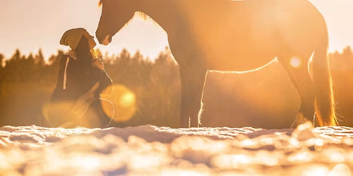 Integrated Equine Partnerships Workshop