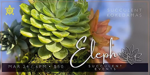 Succulent Kokedama Workshop @ New Terrain Brewing Company