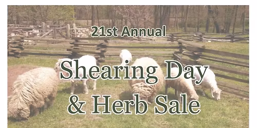 21st Annual Shearing Day & Herb Sale