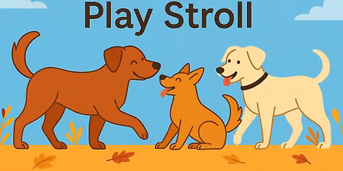 Group Stroll - Paws & Pals Play