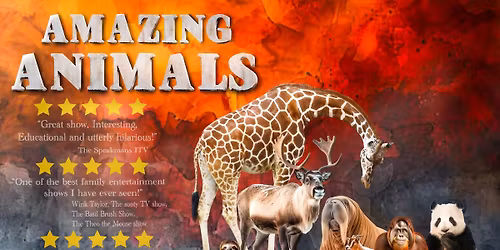 Amazing Animals