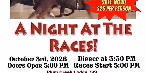 Night At The Races