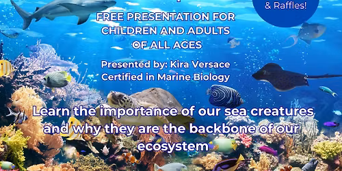 Wonders of the Ocean 