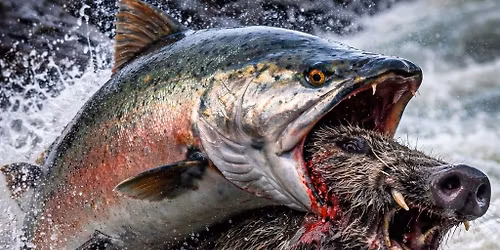 April Pizza Party Meeting