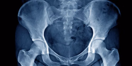 Saturday Series: Hip Anatomy & Function