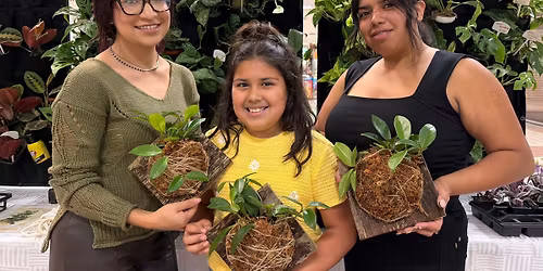 Workshop: Mounted Plant Art