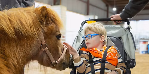 Horses For Handicapped MS