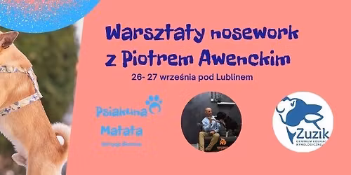 Warsztaty nosework z Piotrem Awenckim wrzesie\u0144 pod Lublinem