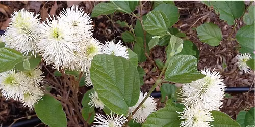 Union County (NC) Master Gardeners Symposium