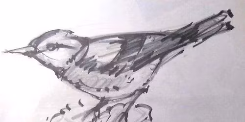 Beginning Sketching Art Class for Kids & Adults