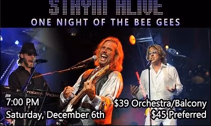 Stayin Alive \u2013 One Night of the Bee Gees