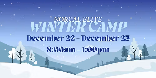 \u2744\ufe0f Winter Camp at NorCal Elite Gymnastics! \u2744\ufe0f