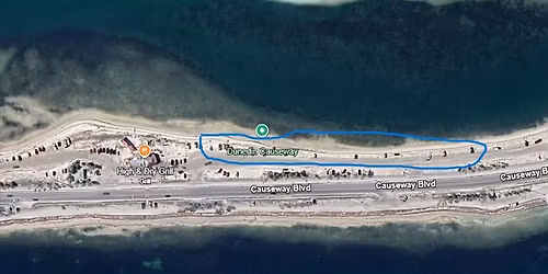 Tampa Bay Element Gathering