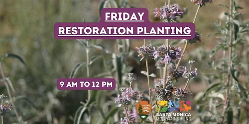 Friday Planting: Volunteer Cheeseboro Canyon Restoration