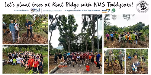 Tree Planting at Kent Ridge with NUS Toddycats! (18 Apr 2026)