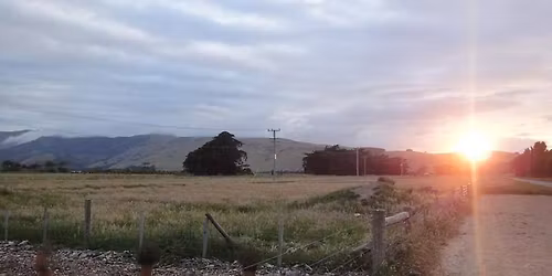 Tour de Peninsula