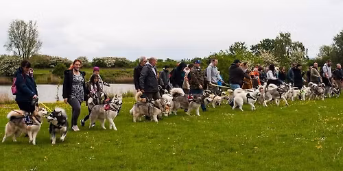 Bridgwater canal walk