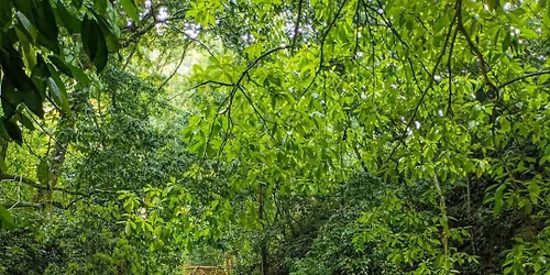 Viaje a Zozocolco de Hidalgo Veracruz