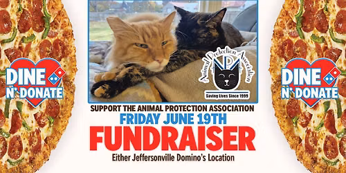 Domino's Fundraiser: APA Saves Kittens