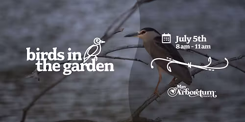 Birds in the Garden