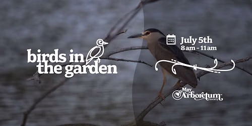 Birds in the Garden
