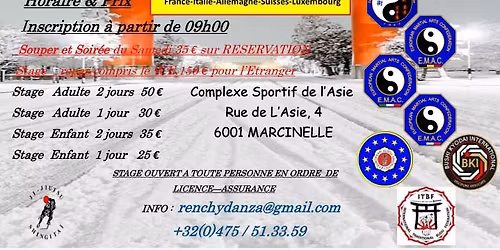 Stage International Shingita\u00ef Ji-Jiutsu MARCINELLE