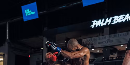 Dynasty Combat Sports: Ring Rivals 2