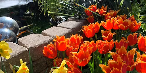 Easter at the Muttart