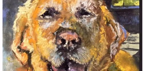 Pets in Pastels