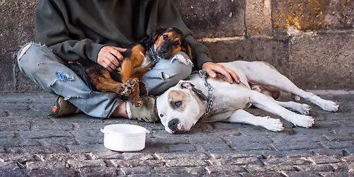 Street Dawg Crew of Utah Pet Food Outreach