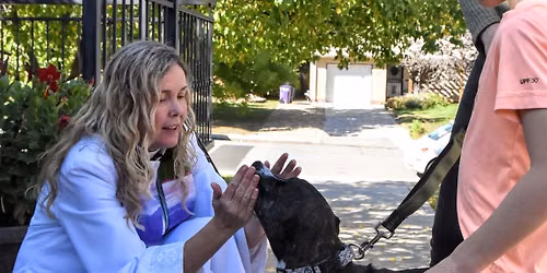 St Francis Feast Day Animal Blessings