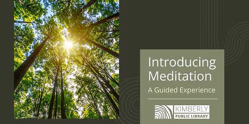 Introducing Meditation: A Guided Experience