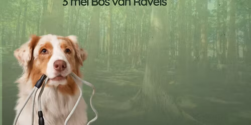 Goe Beestig hondenwandeling