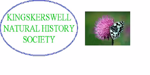 Members visit to Newton Abbot Museum 