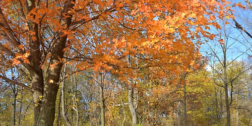 Hike Bright Conservation Area