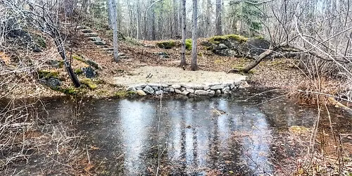 Tuesday Talk - Visit the Vernal Pool with Kevin Ryan, PhD.