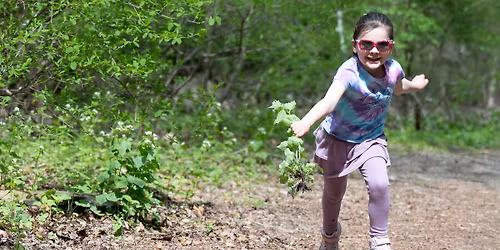 Green Up the Blue Hills 2026!