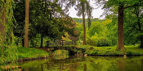 leckerMYK Pilz- und Waldfr\u00fcchtewochen: Wandern & Schlemmen im Kulturpark Sayn
