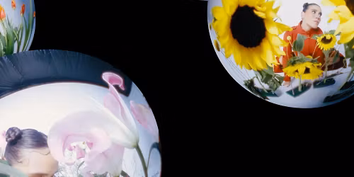 Pahua in City of New York