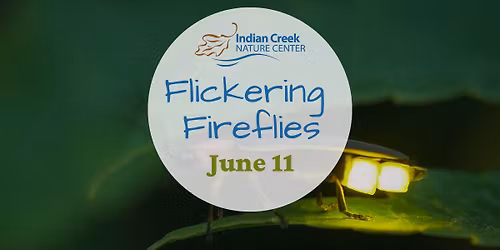 Flickering Fireflies