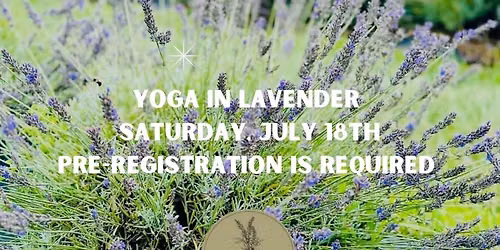 Yoga in Lavender: Saturday, July 18th 