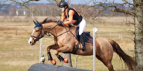 2 dages militaryst\u00e6vne med unghestechampionater p\u00e5 Kallehavegaard