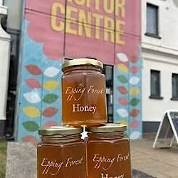 Bee Event at Epping Forest Visitor Centre