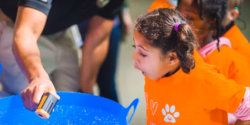 S.T.E.M. with Snowflakes