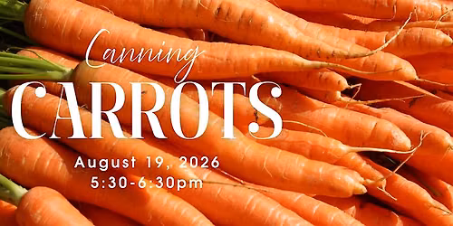 Summer Canning Series-Canning Carrots